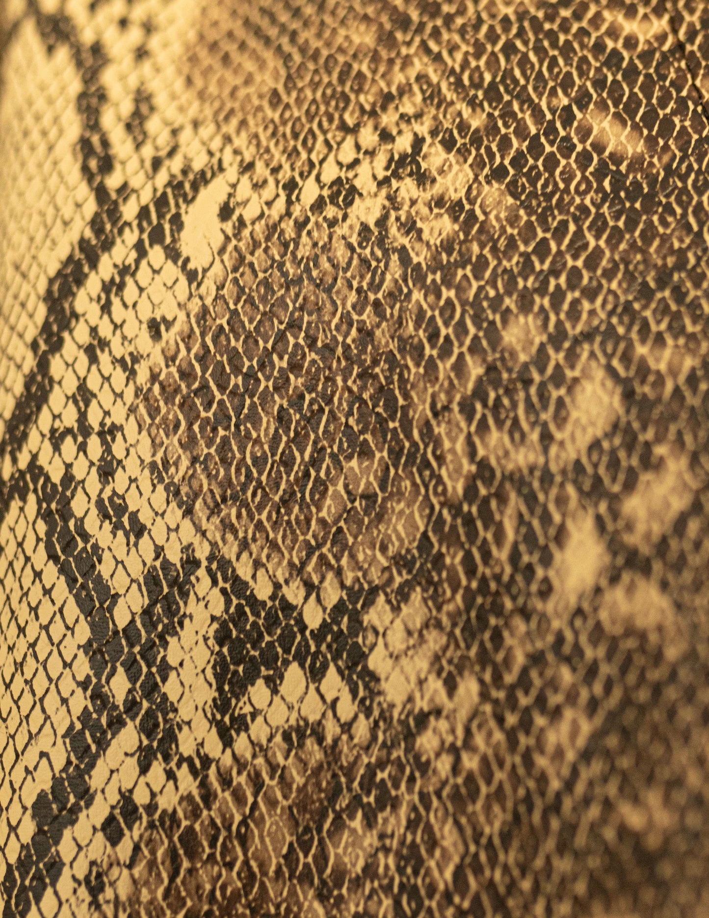 Beige Snake Set For Him