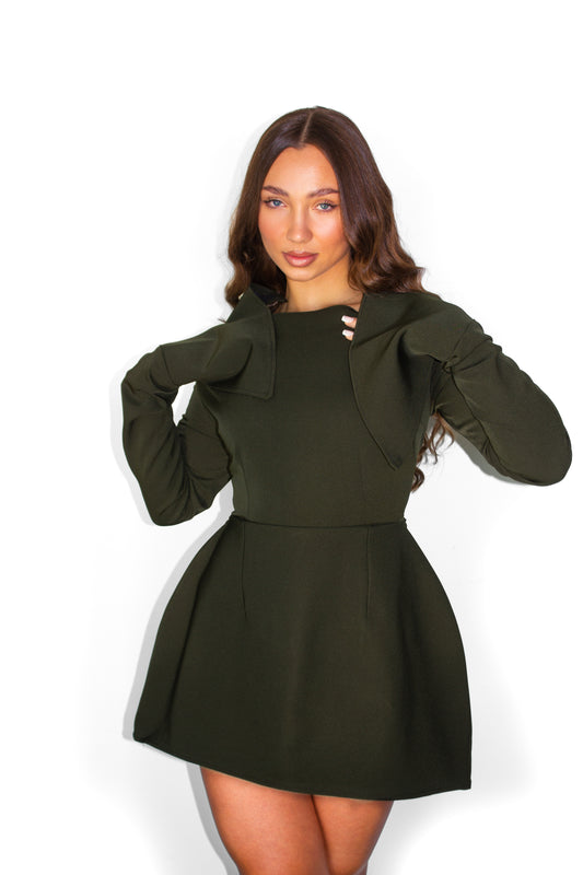 The Ultimate Long Sleeve Mini Dress