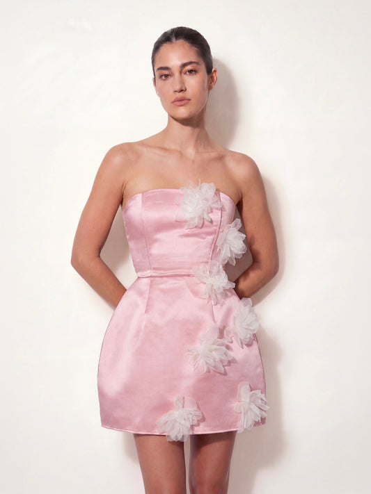 Dusty Peony Corset Dress