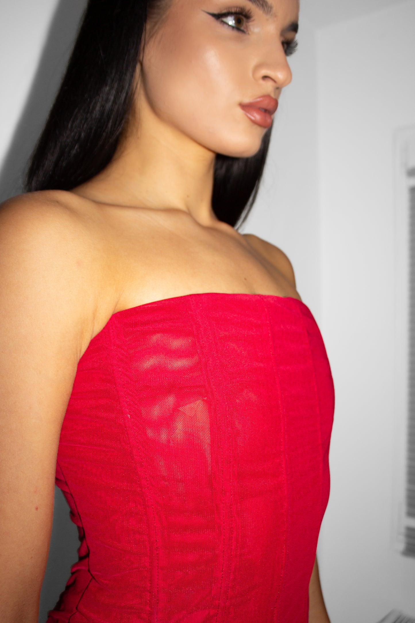 The Ultimate Mesh Red Corset
